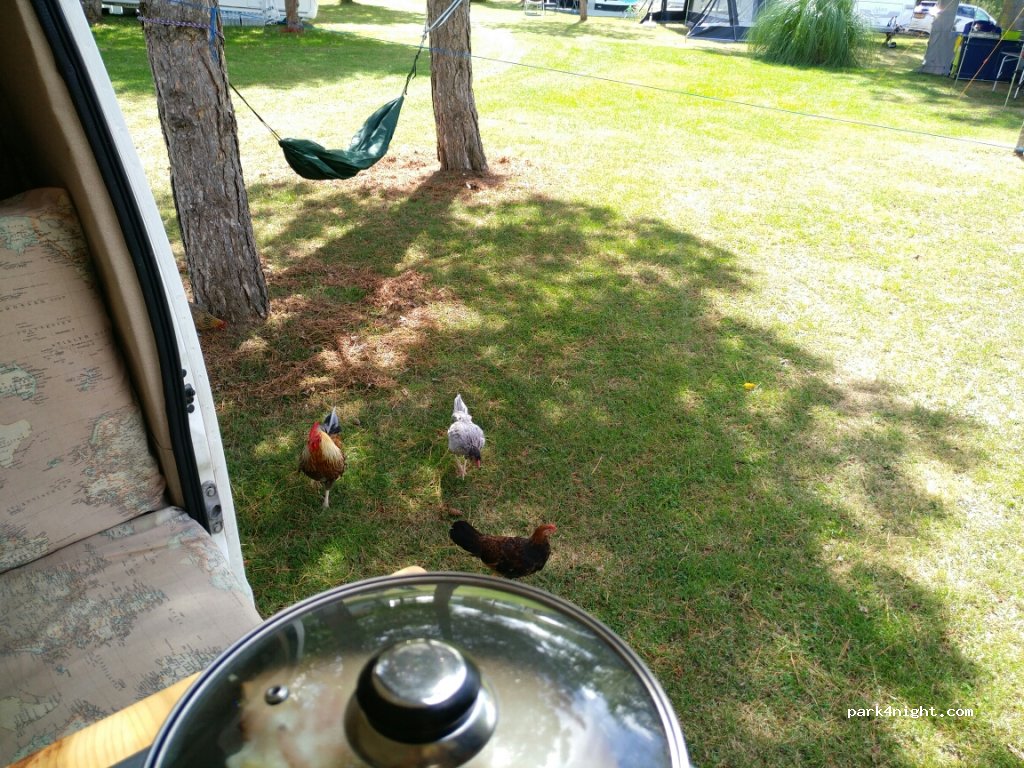 Domaine Laborde — foto 3
