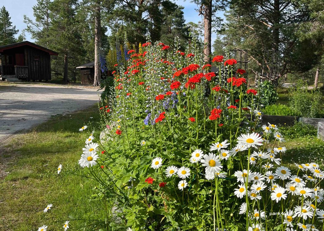 Sømådalen Camping — foto 3