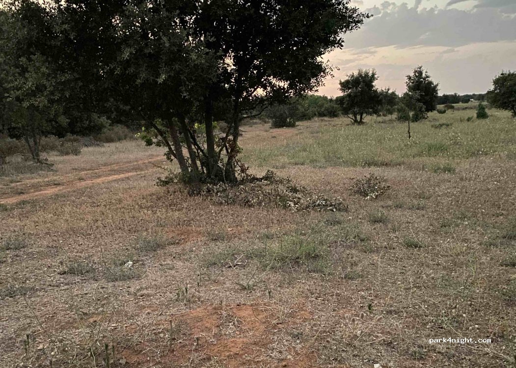 (30210) Cabrières - Route de Collias — foto 2