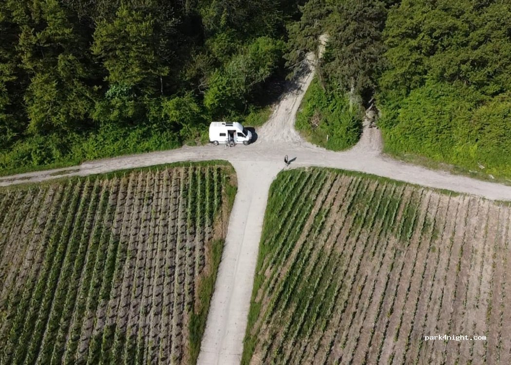 (51150) Bouzy - Unnamed Road — foto 4