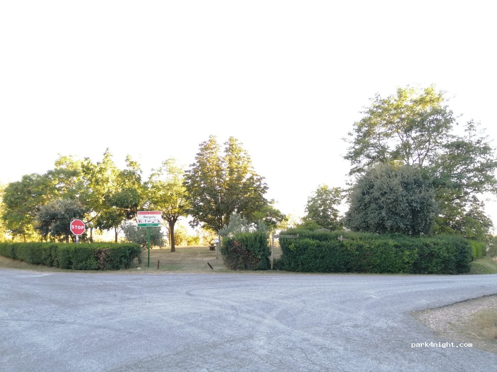 (31229) Bargota - NA-7206 — foto