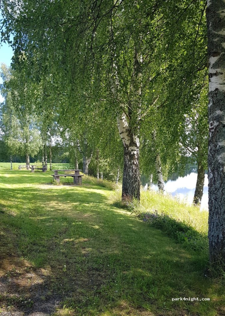(2116) sander - 250 Kongsvingervegen — foto 4