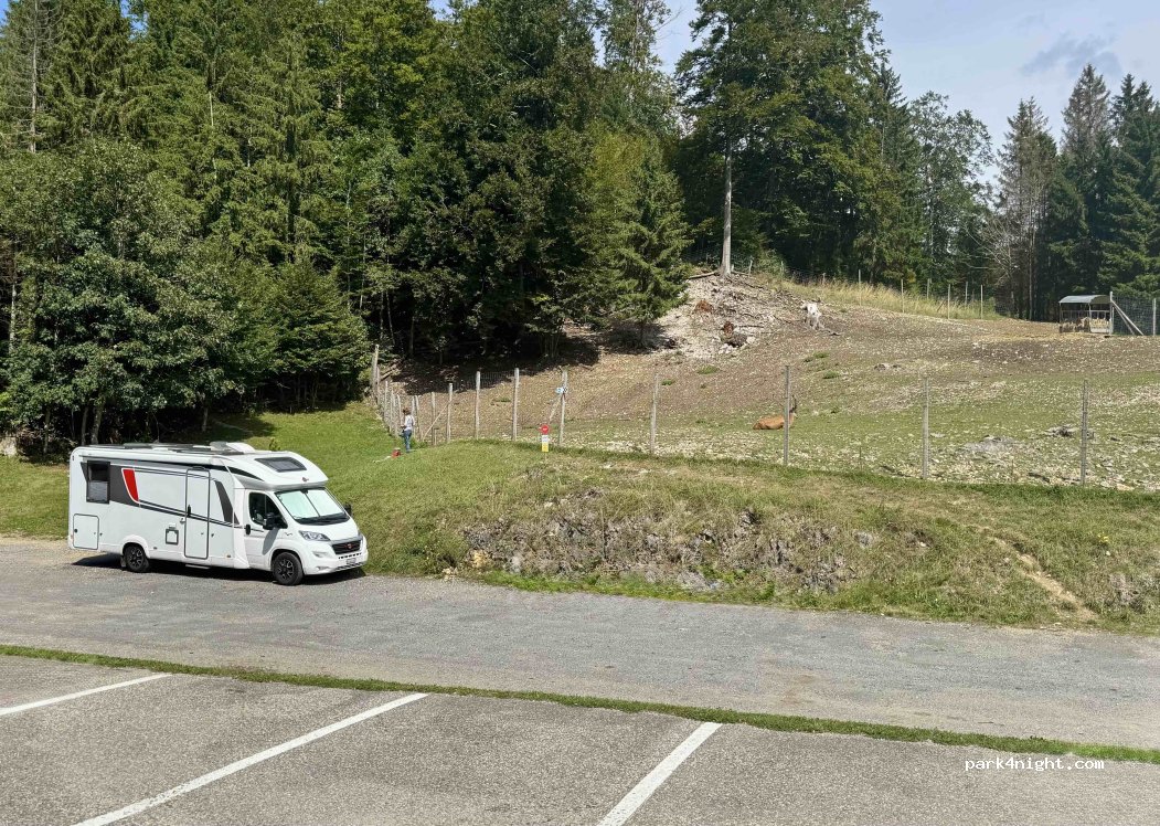 Juraparc — foto 4