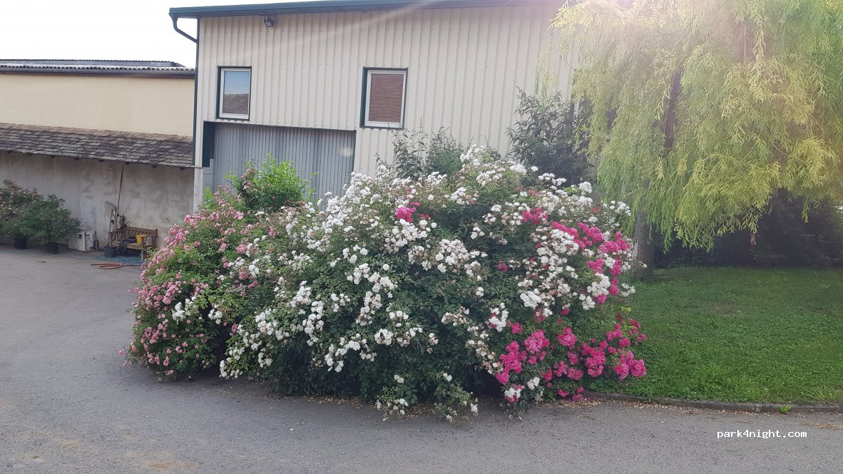 Winzerhof Hofstötter — foto 3