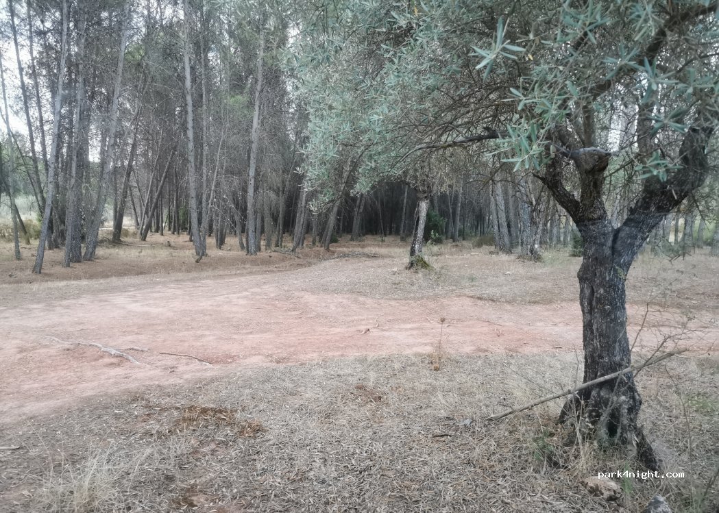 () Hornos - Unnamed Road — foto