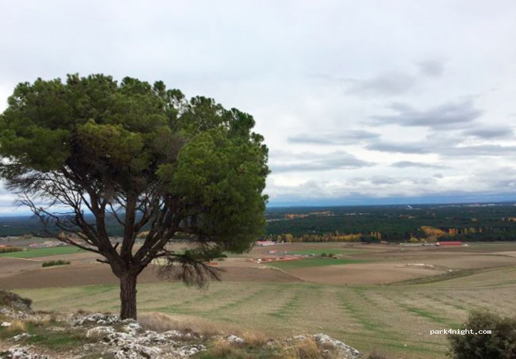(40200) Cuéllar - Camino de las Lomas — foto