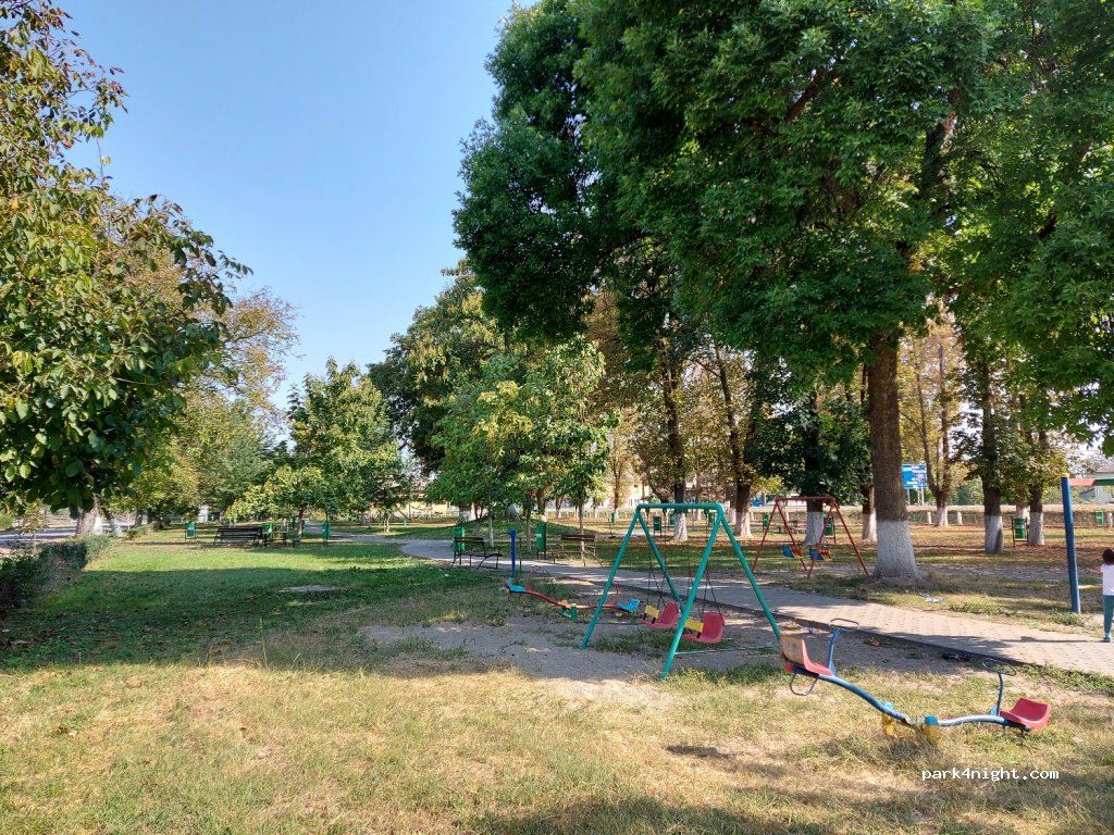 (317335) Șimand - DN79 — foto