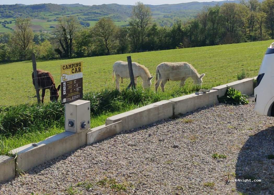 Ferrand Séverine — foto 4