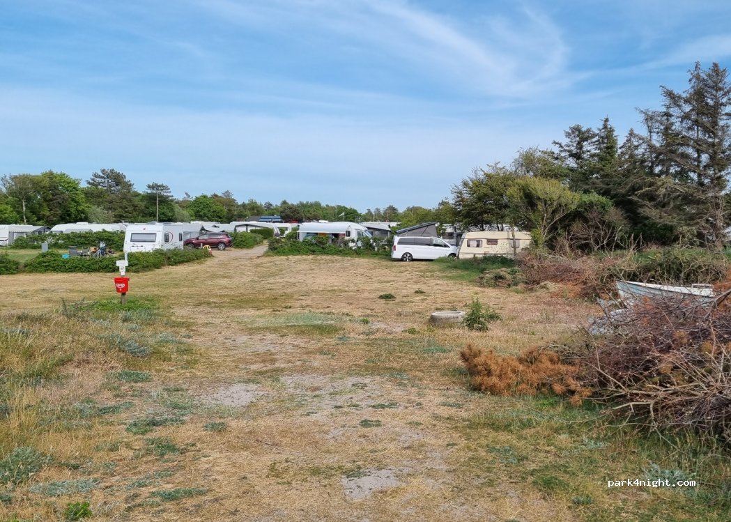 Bjerge Sydstrand Camping — foto 2