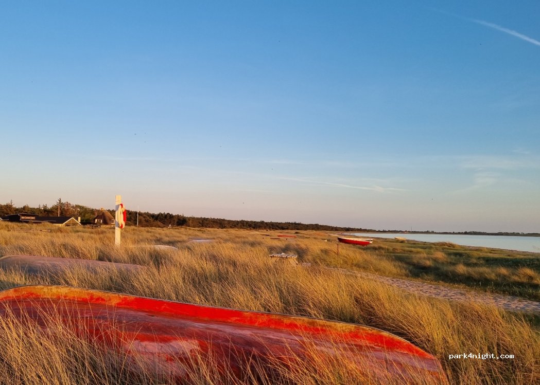 Bjerge Sydstrand Camping — foto 3