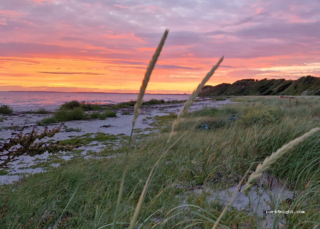 Bjerge Sydstrand Camping — foto 4