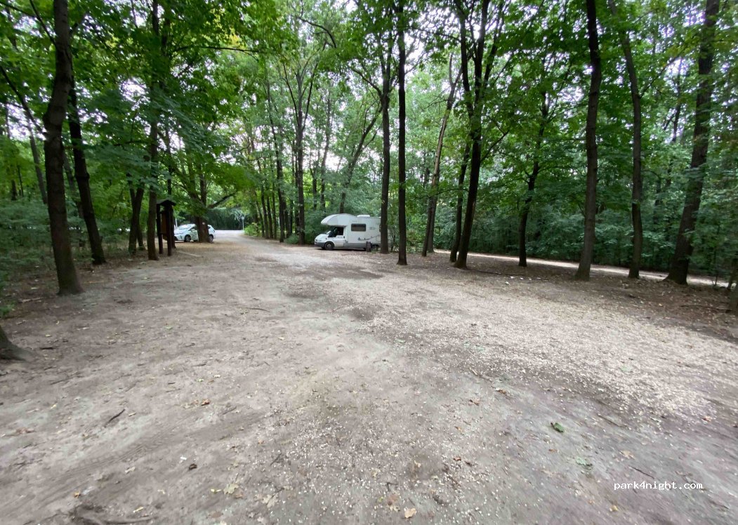 (8143) Sárszentmihály - Pentelei parkerdő — foto