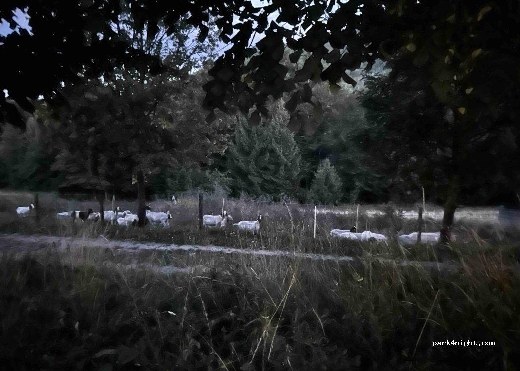 (1317) Sodražica - 2 Nova Štifta — foto 5