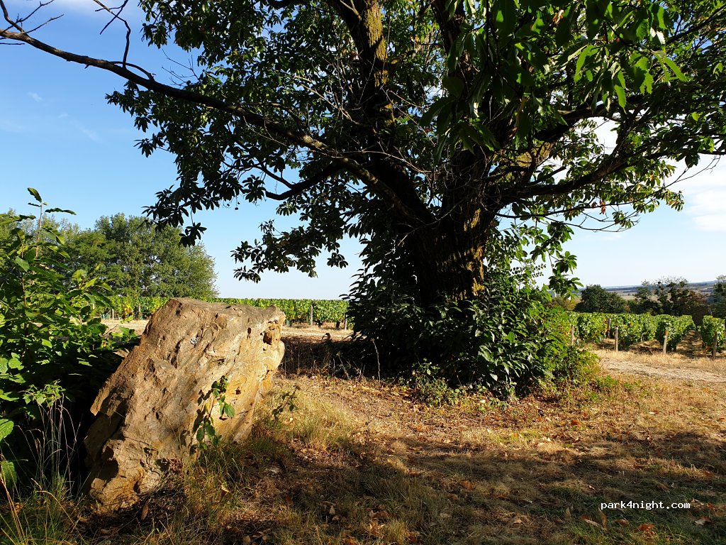 (18300) Vinon - 7 Chemin de la Belle Fontaine — foto