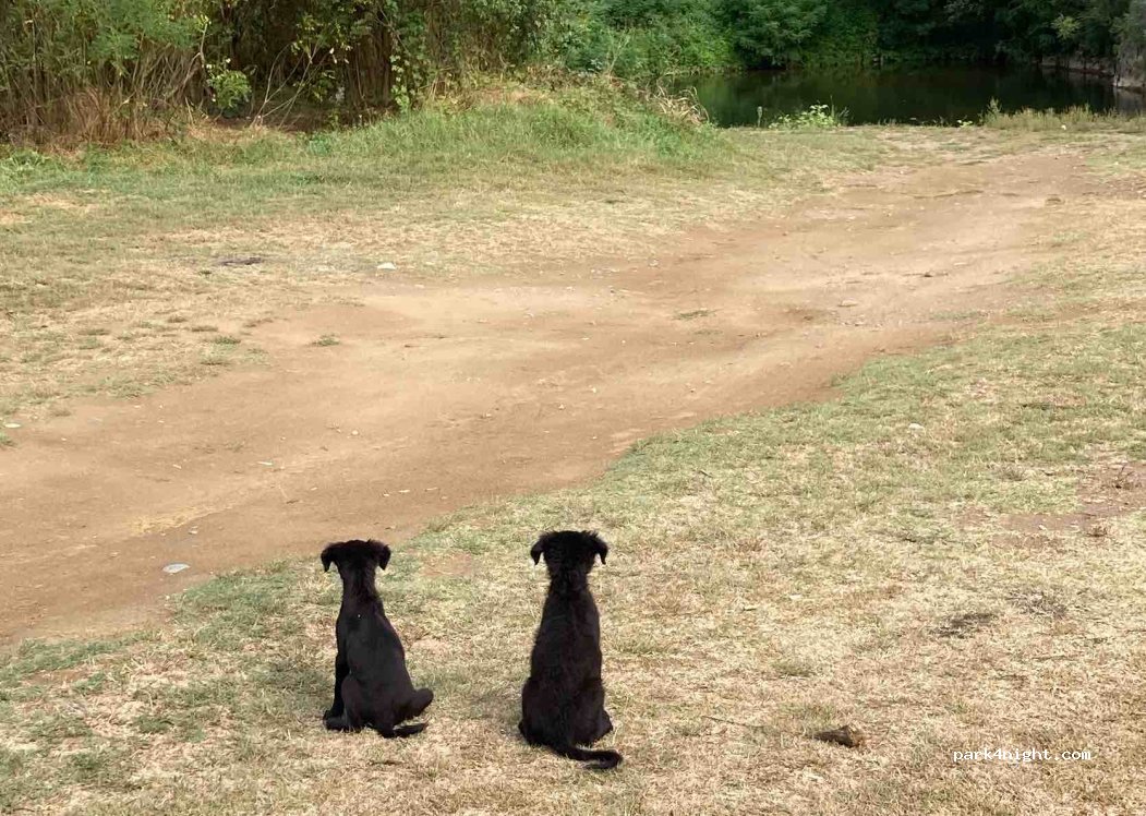() Trgovište - 221 — foto 2