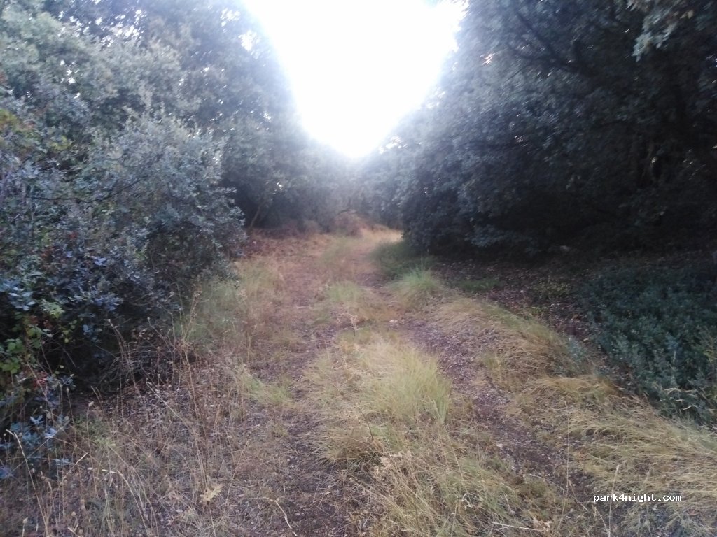 (22140) Loporzano - Unnamed Road — foto