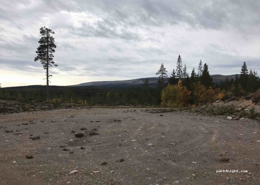(790 90) Särna - Unnamed Road — foto