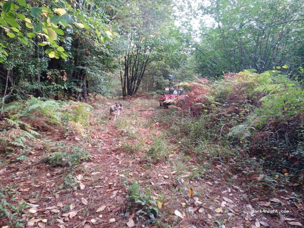 (24220) Castels - Unnamed Road — foto 2