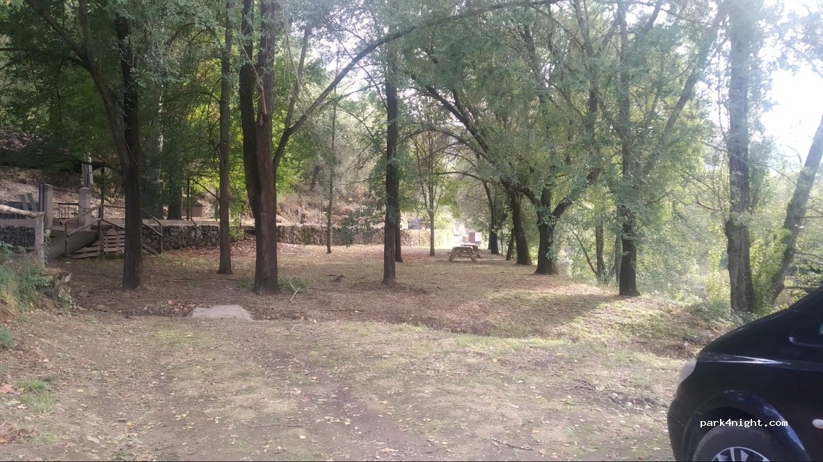 (10649) Rivera Oveja - — foto 2