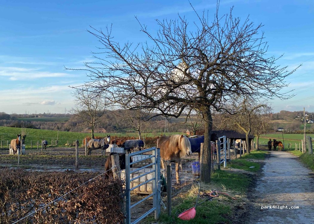 Hubertus Hoeve — foto 2
