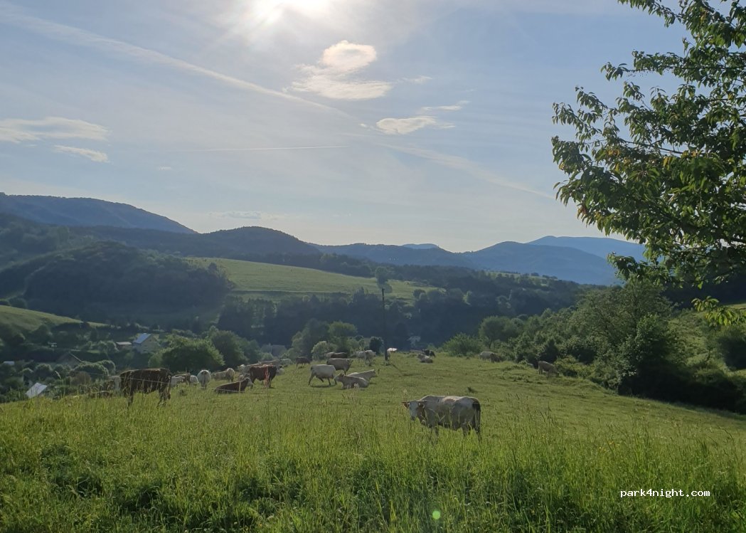 (972 28) Valaská Belá - — foto 4