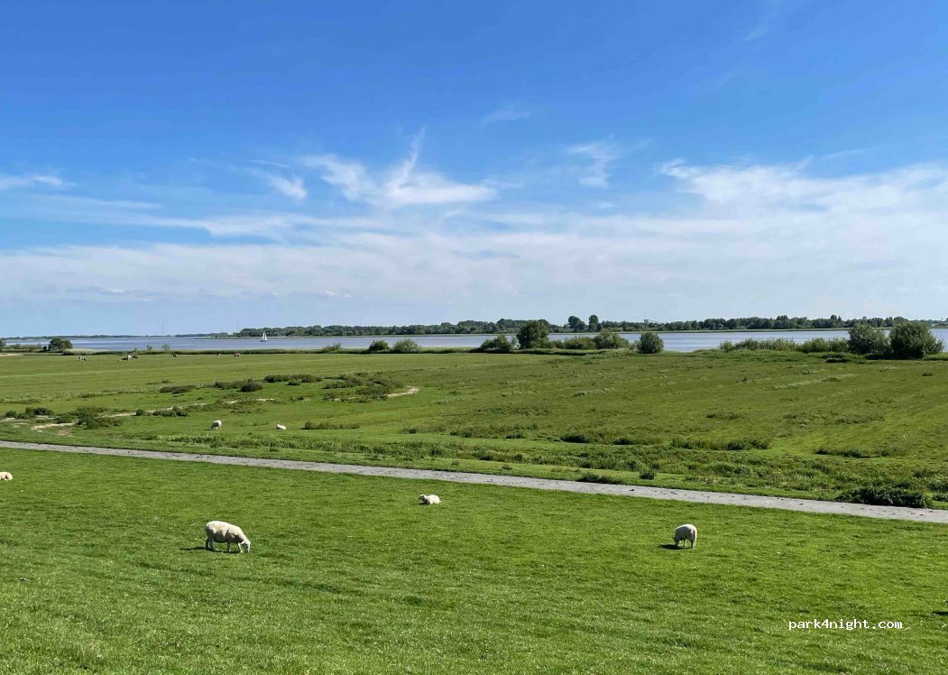 Elbdeich-Camping Kollmar — foto 3