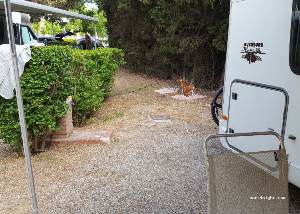 Camping Internacional Aranjuez — foto 3