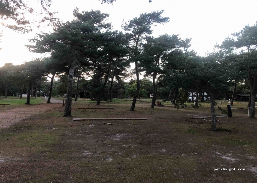 Møllers Dueodde Camping — foto 2