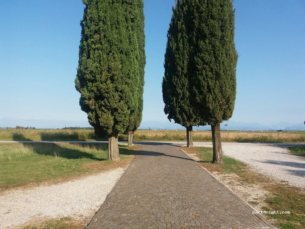 (33036) Mereto di Tomba - Strada Provinciale 52 — foto 2