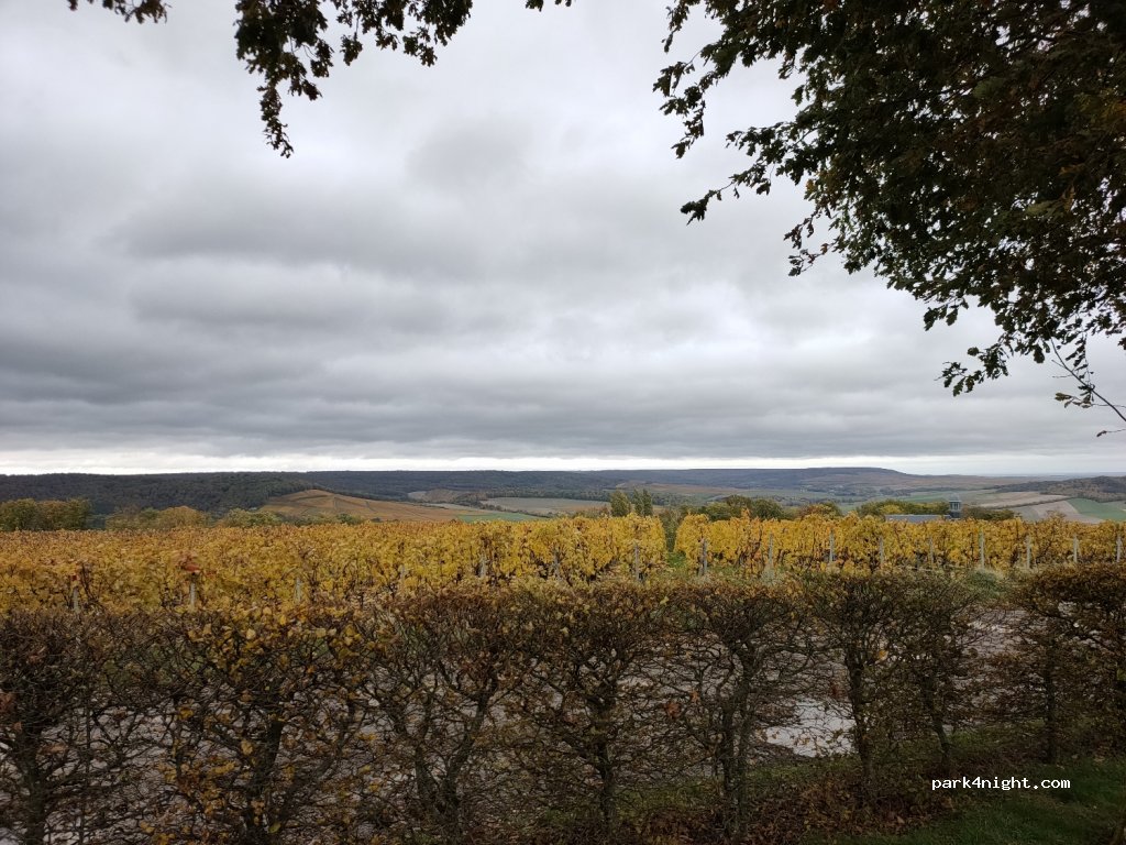 (51160) Mutigny - 5 Rue de la Côté de Mai — foto 3