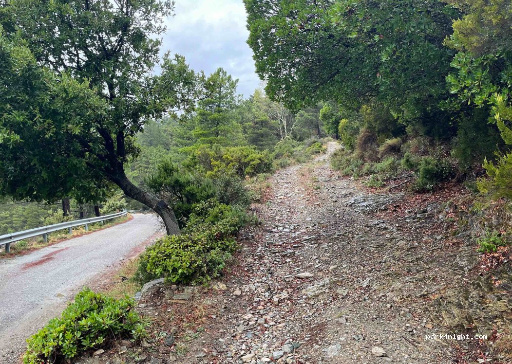 (08040) Gairo - Strada Vicinale di Sarcerei — foto 2
