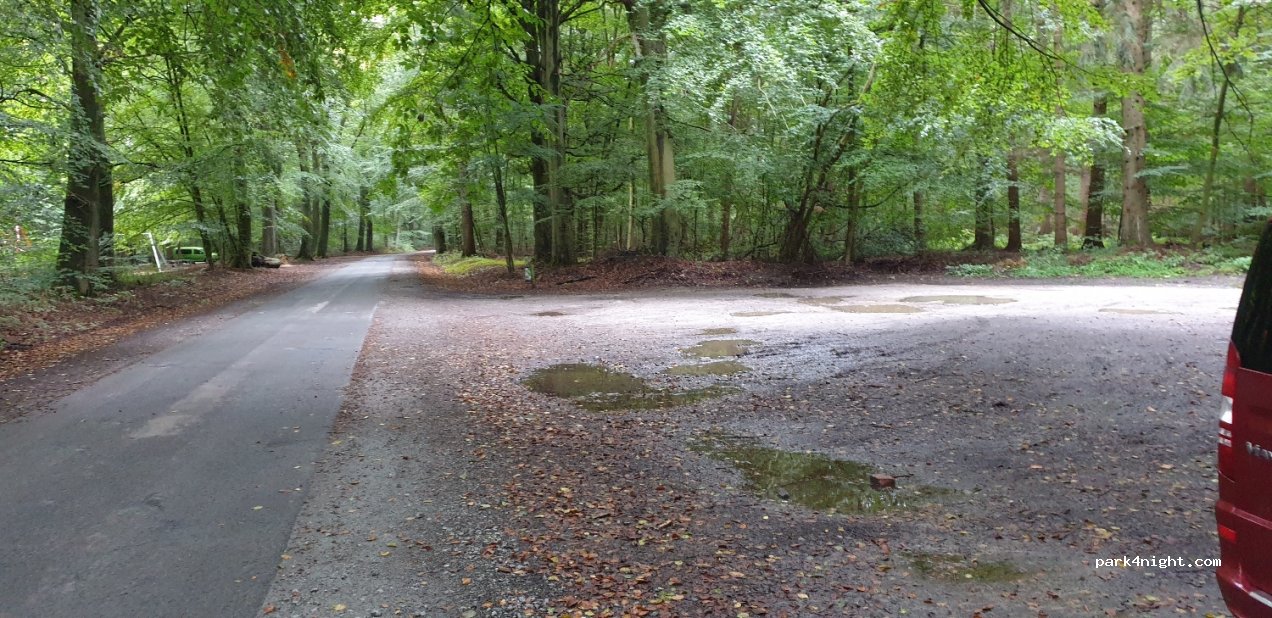 (26427) Moorweg - 2 Buchenallee — foto