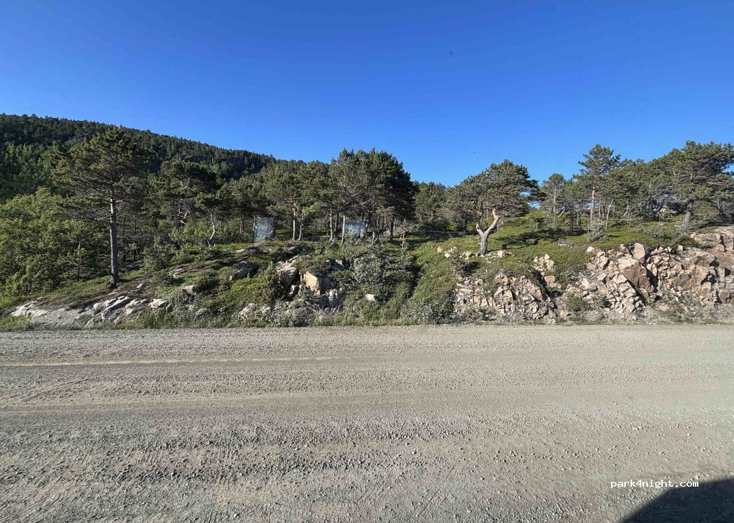 (9376) - 28 Sekundær Fylkesveg 231 — foto 4