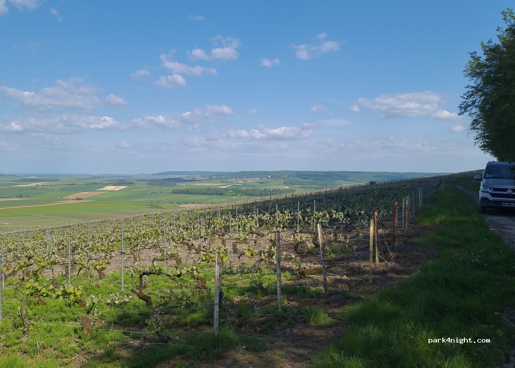 (51500) Écueil - Unnamed Road — foto 3