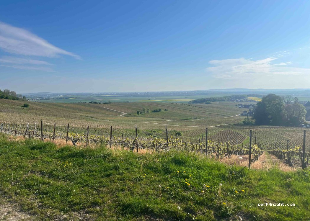 (51500) Écueil - Unnamed Road — foto 5