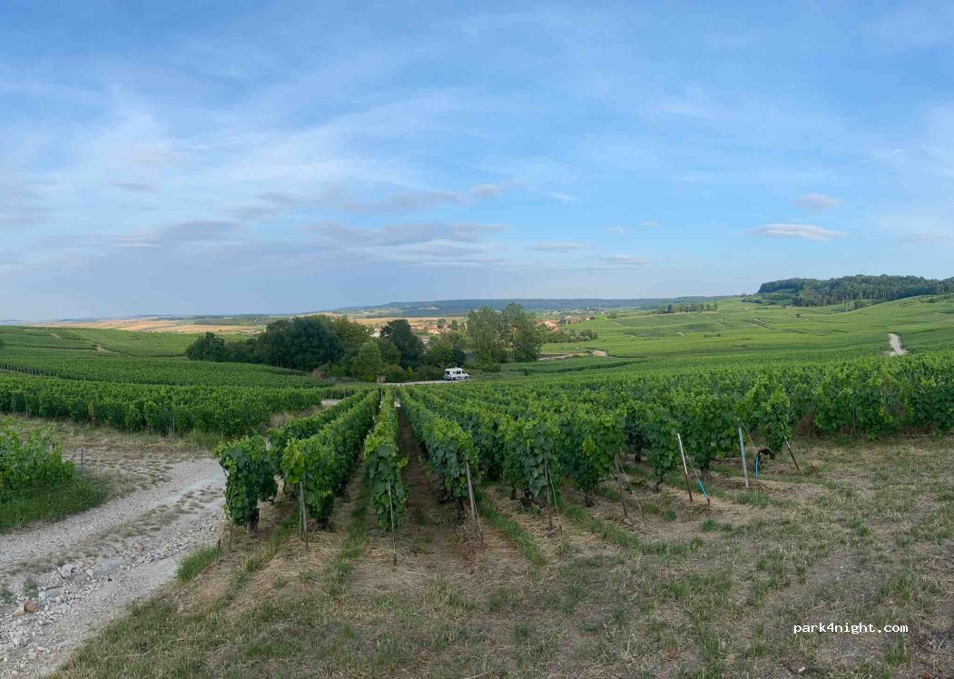(51500) Chamery - 5 Chemin des Caquerays — foto 2