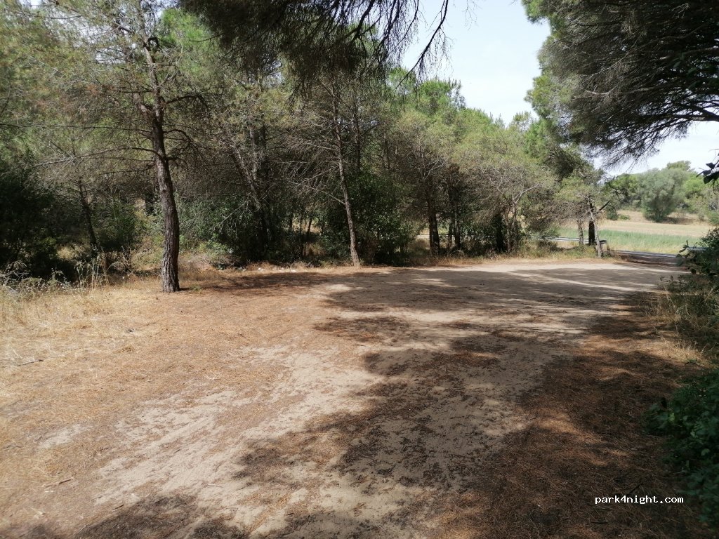 (17256) Pals - 4 Diseminado Barri Bernagar-masos Pals — foto