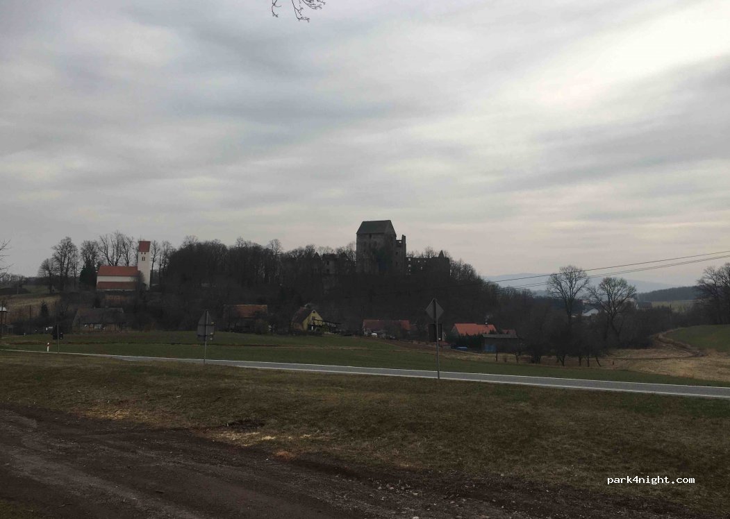 (59-420) Świny - — foto 2