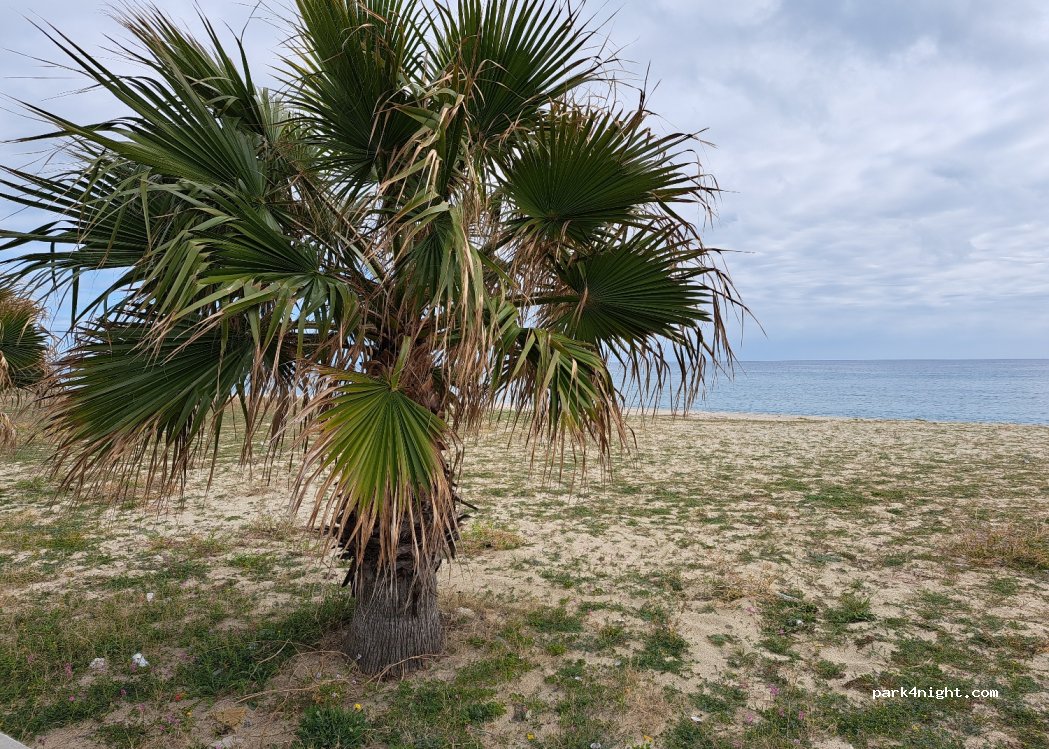 (88050) Belcastro - Contrada Magliacarne — foto 4