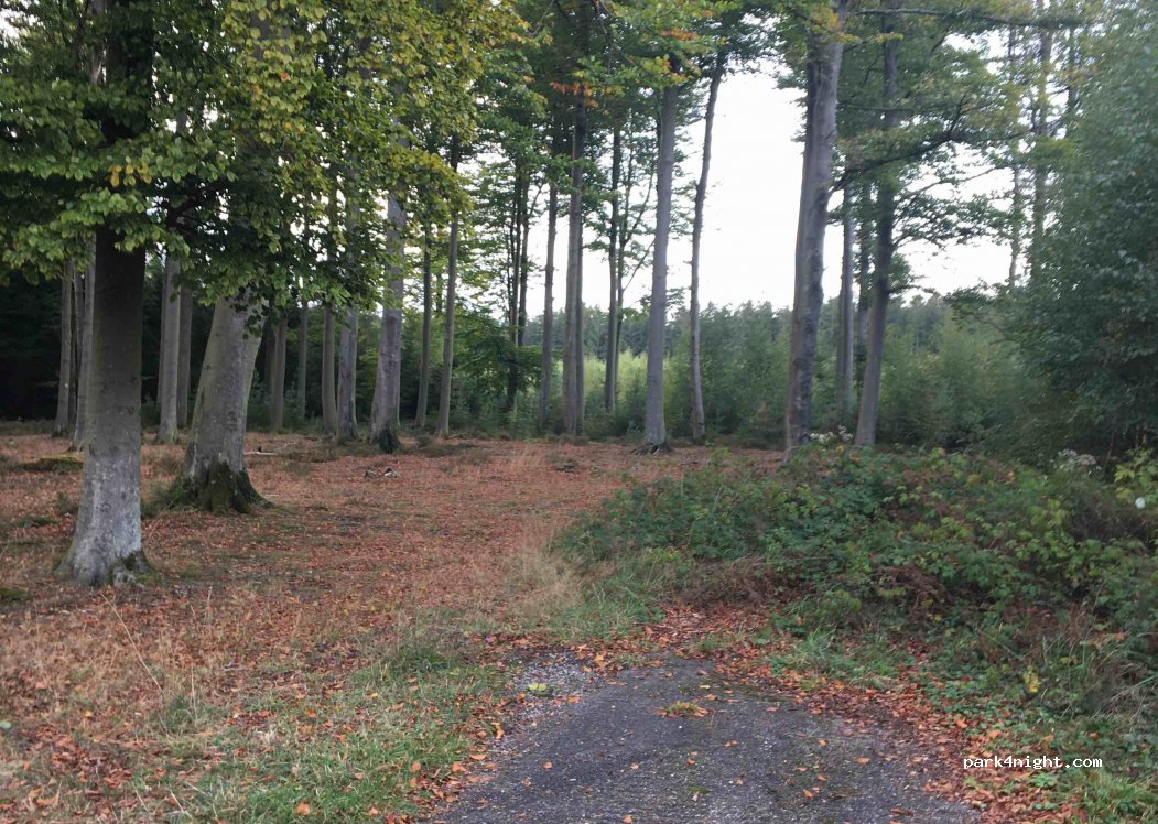 (4983) Trois-Ponts - Rue Mionfosse — foto