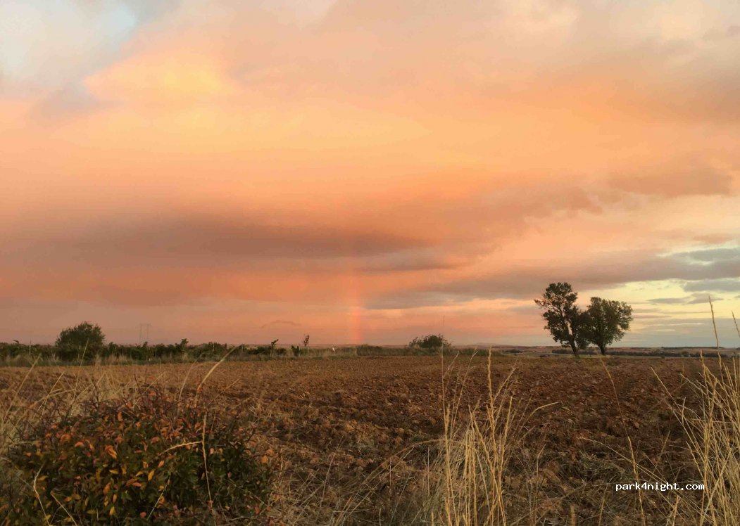 (09220) Pampliega - Camino de los Arenales — foto