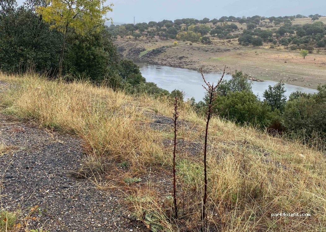 (37774) Guijo de Ávila - Unnamed Road — foto