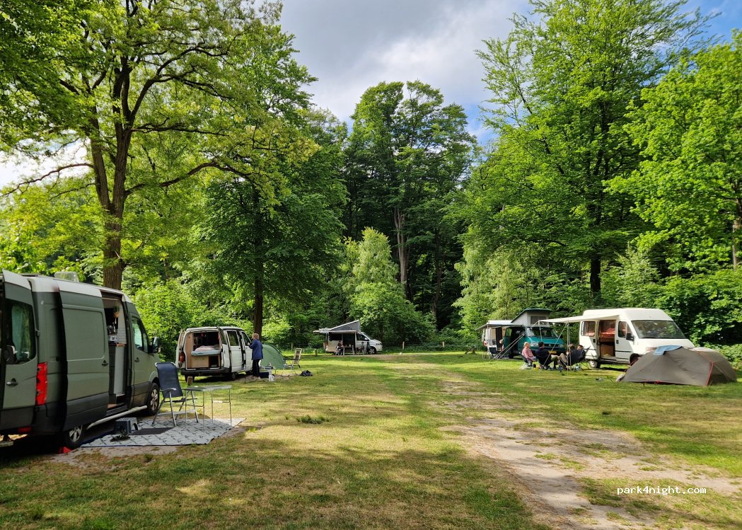 Natuurkampeerterrein Drie — foto 5