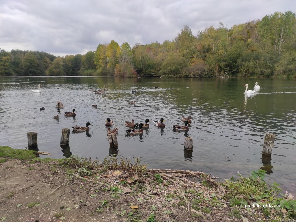 (60240) Lavilletertre - D536 — foto 3