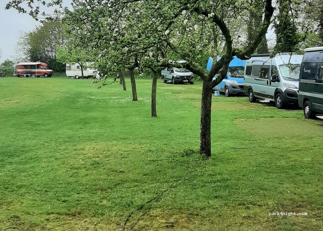 De Appelhof Camping — foto 5