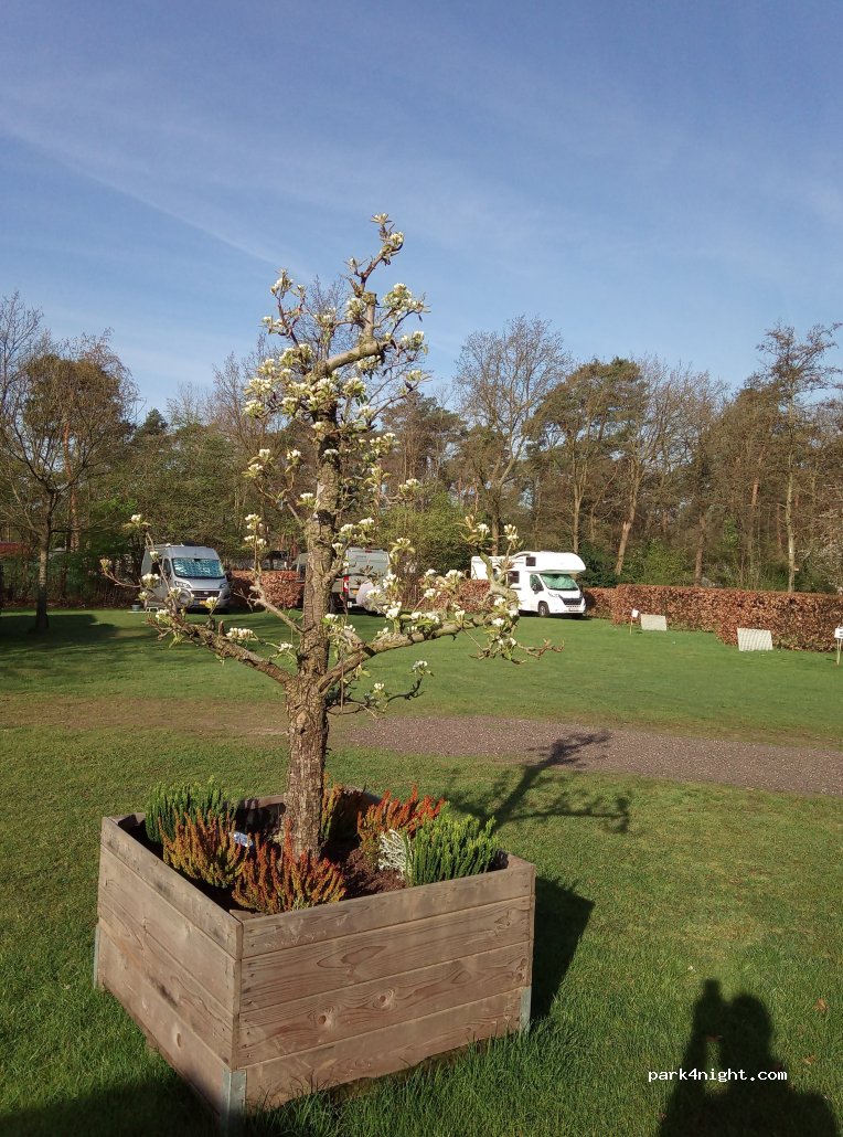 Camperplaats Heiderust — foto 3