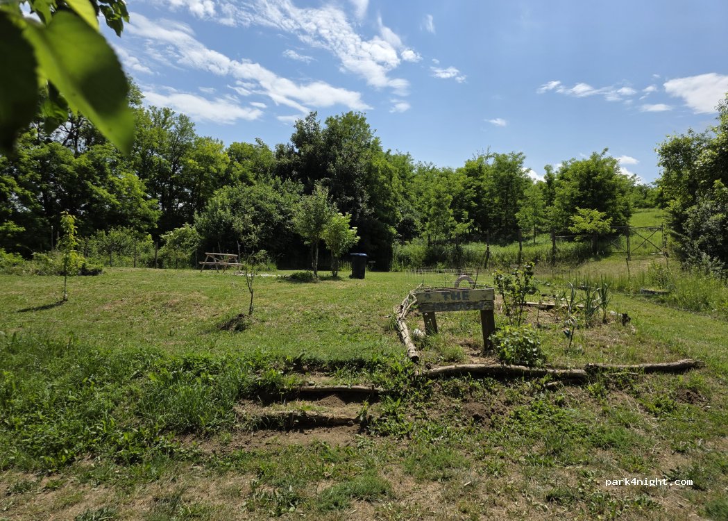 Koppany Pines — foto 5