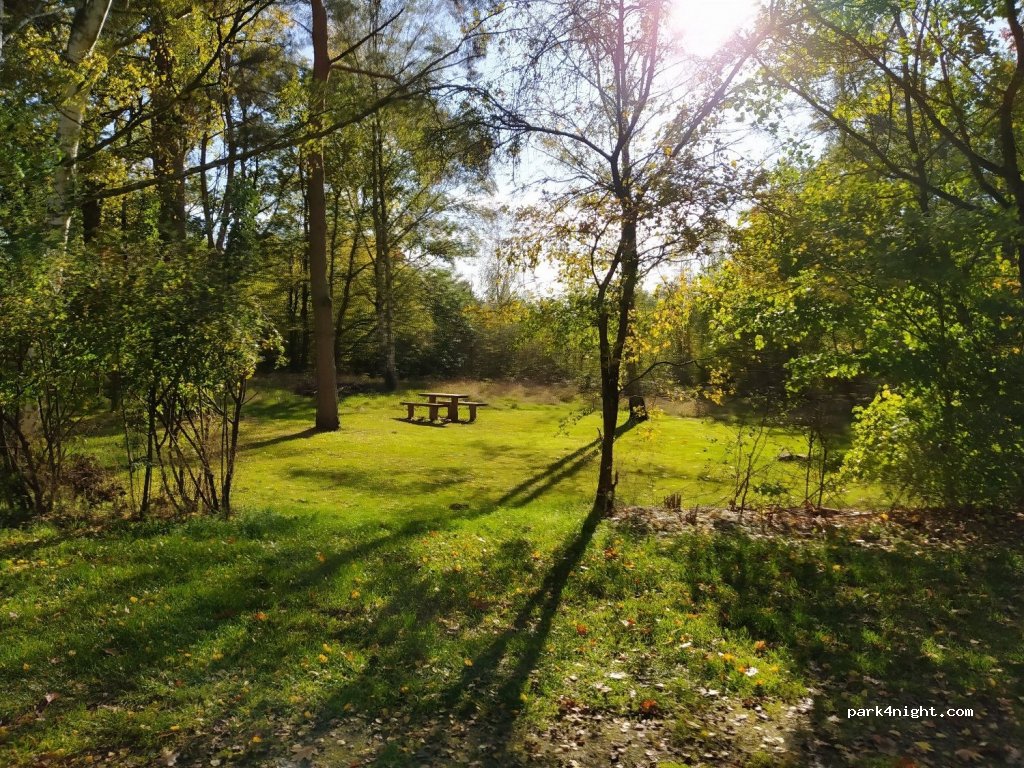Aussichtsturm Höhbeck — foto