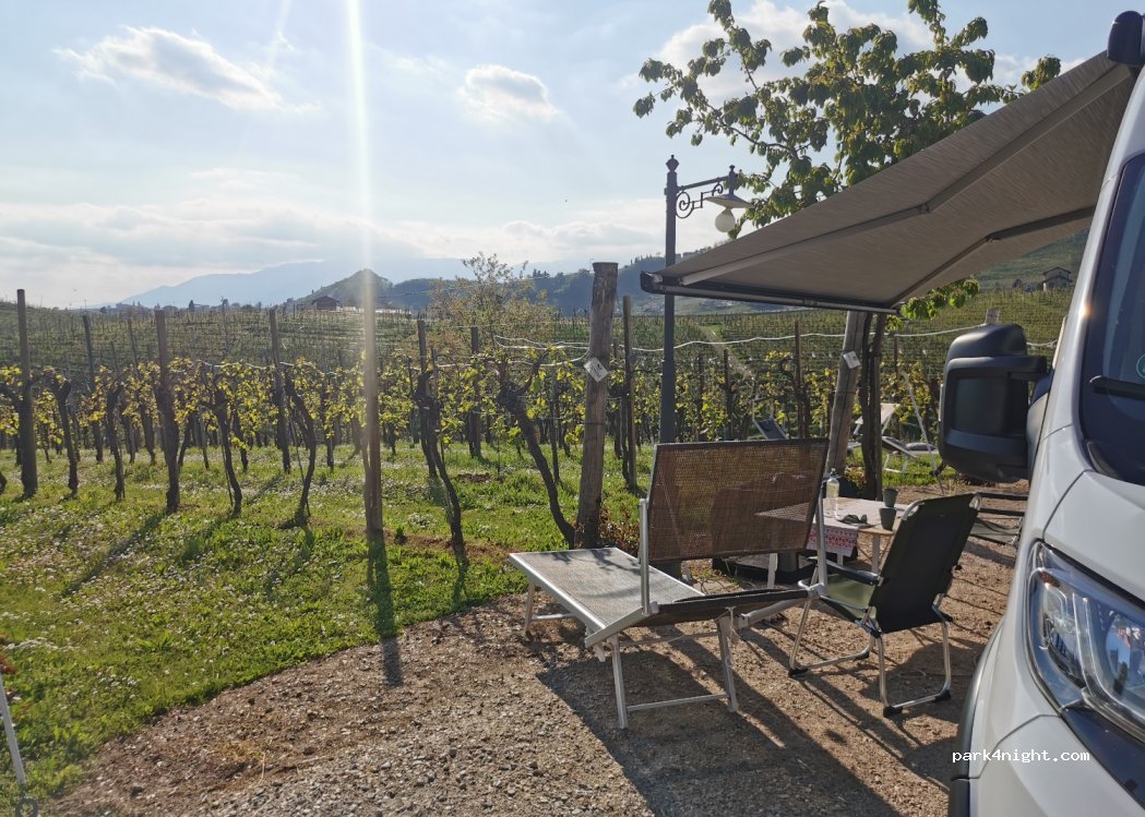 Cantina e Agriturismo La Casa Vecchia — foto 2