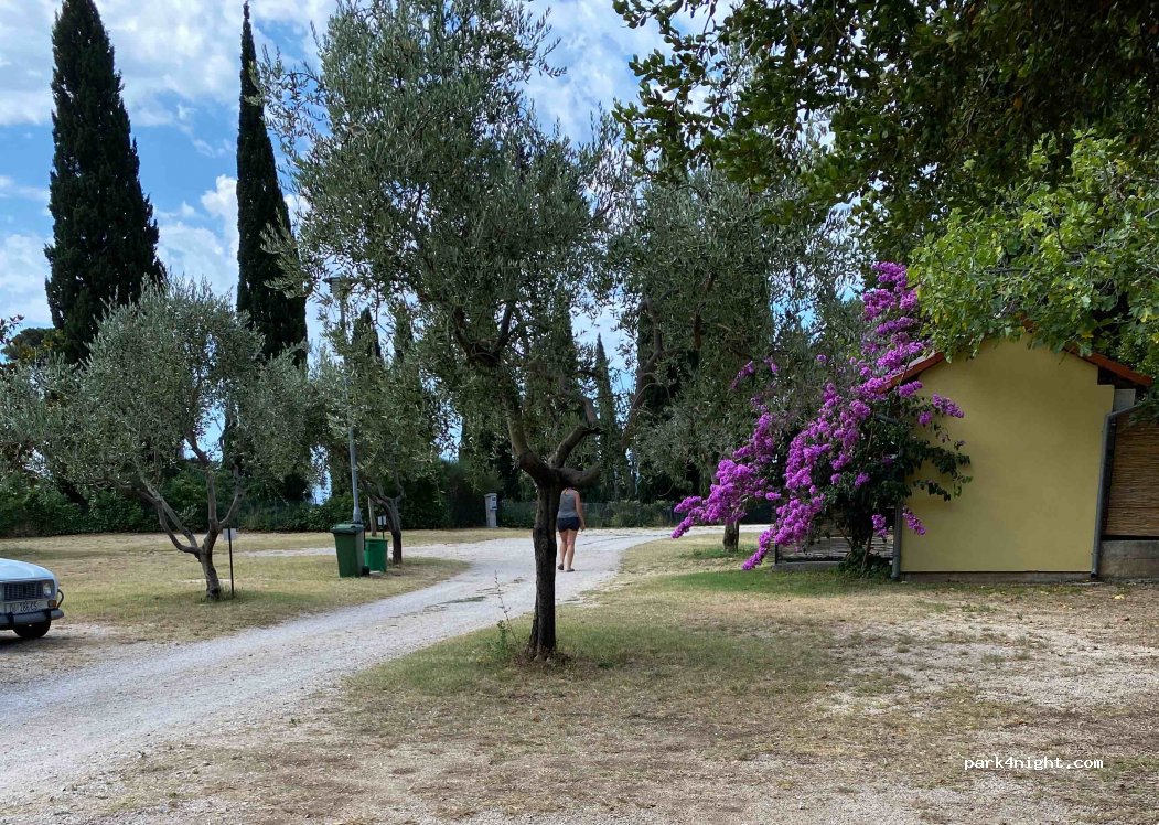 Camping Kate — foto